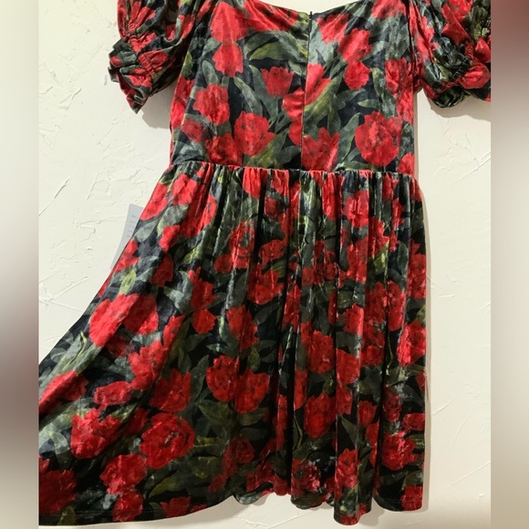 Petal & Pup Anders Floral Burnout Velvet Minidress Black Red Sz Small - Picture 12 of 14